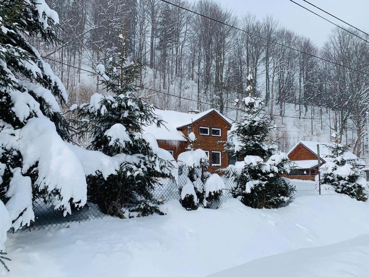 Villa Bieszczadzki Klin Bklin Cisna Exterior foto