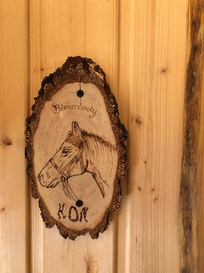 Villa Bieszczadzki Klin Bklin Cisna Zimmer foto